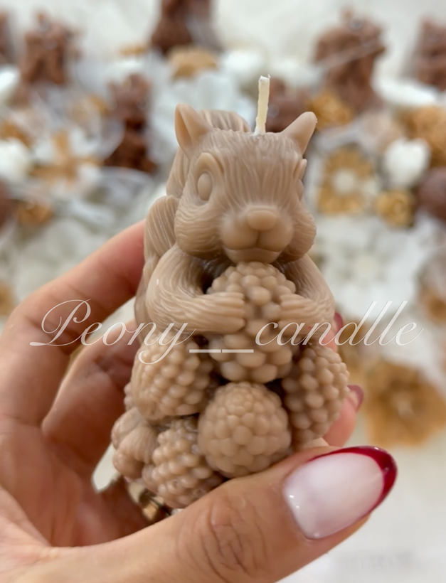 شمع سنجاب ژورنالی
